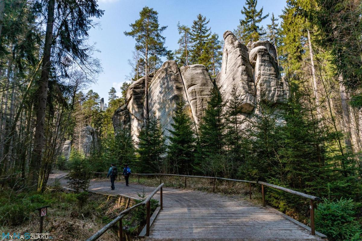 カミェンナ・グラ Domek U Karkonoszaヴィラ エクステリア 写真