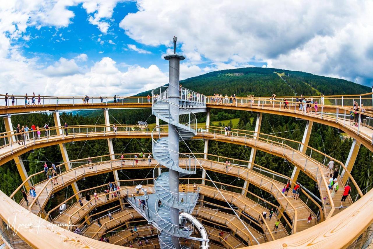 カミェンナ・グラ Domek U Karkonoszaヴィラ エクステリア 写真