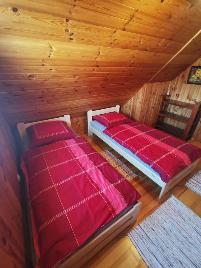 カミェンナ・グラ Domek U Karkonoszaヴィラ エクステリア 写真